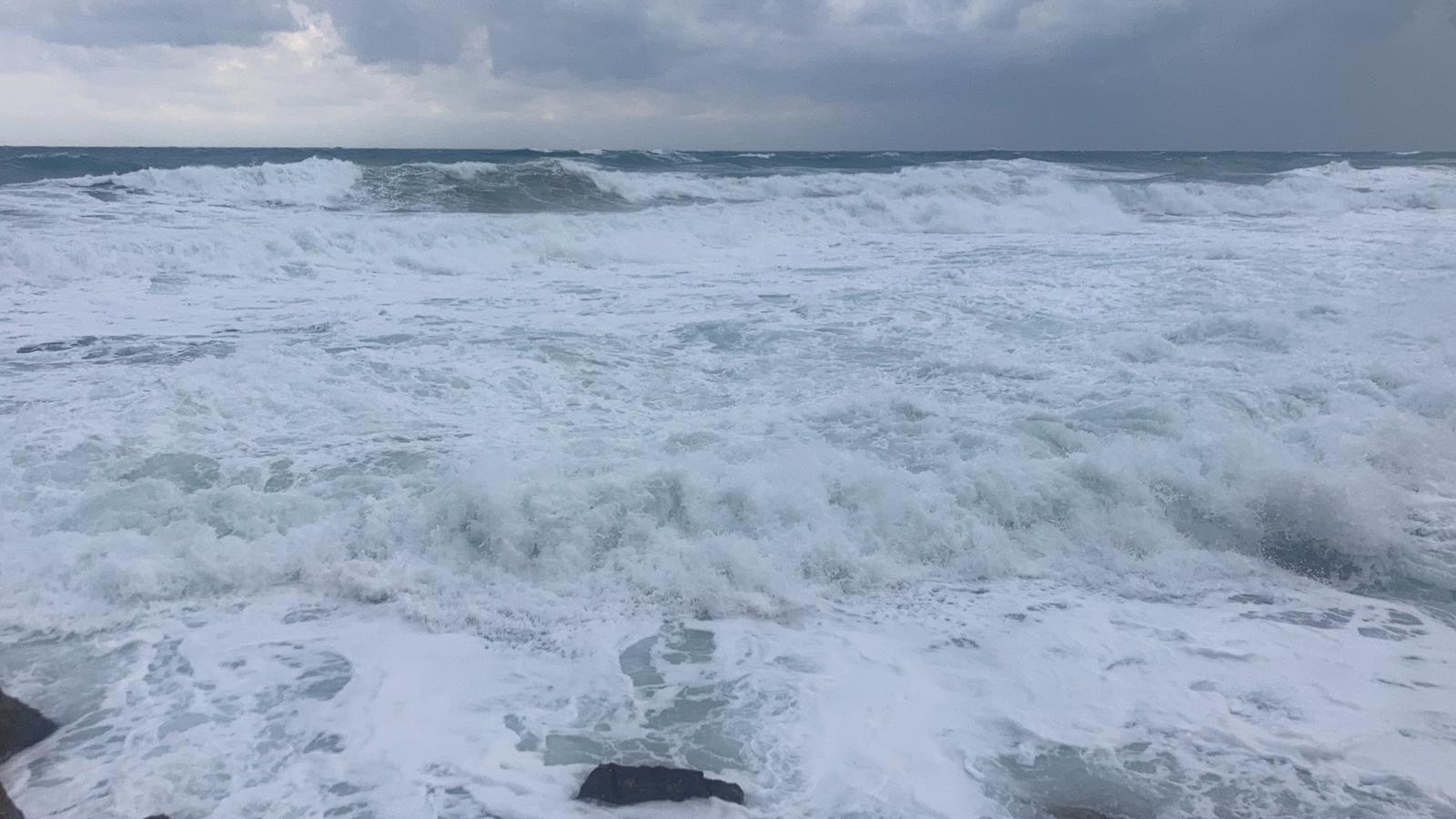 WhatsApp Image 2021-12-20 at 1.58.34 PM.jpeg